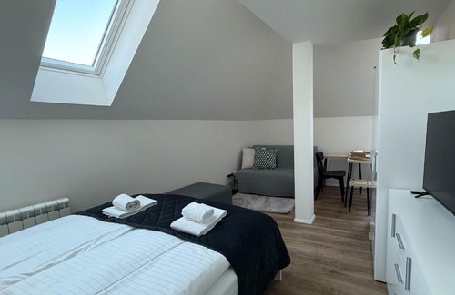 Petrska ctvrt Apartment | Florenc Charming Studio