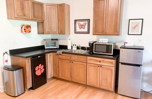 Clemson Apartment | Football! Walk to Death Valley/campus/downtown! Free Parking Spot! Next to ESSO!