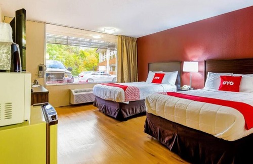 Moline House | For The Whole Family! 4 Relaxing Units, Free Parking, Pets are Allowed