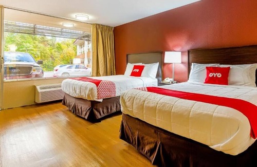 Moline House | For The Whole Family! 4 Relaxing Units, Free Parking, Pets are Allowed