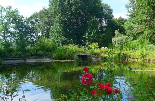 Arkebek House | Forellenhof Apartment 4