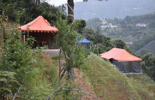 Kasiyalekh Other | Forest Acres Camps