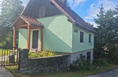 Delnice Ski Chalet | FoRest Chalet