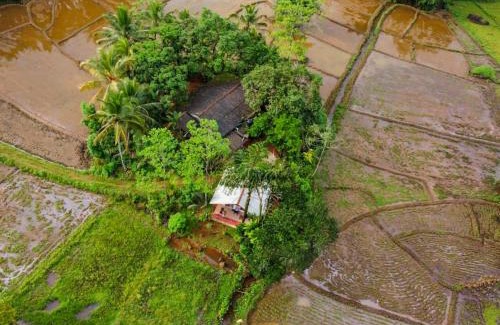 Kotapola Bed & Breakfast | Forest & Fields Sinharaja - Where Nature Circles You While Others Just Look On