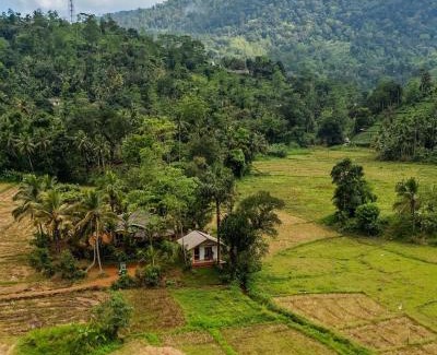 Kotapola Bed & Breakfast | Forest & Fields Sinharaja - Where Nature Circles You While Others Just Look On
