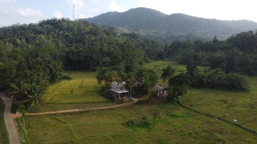 Kotapola Bed & Breakfast | Forest & Fields Sinharaja - Where Nature Circles You While Others Just Look On