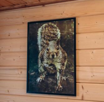 Plavya Apartment | Forest hugs котедж Славсько