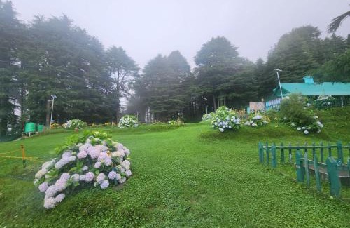 Dalhousie Hotel | Forest Vibes Kalatop-Rooms And Restaurant