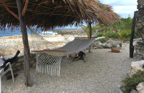Robins Bay Hotel | Forever Cottage