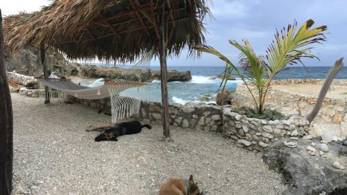 Robins Bay Hotel | Forever Cottage