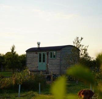 Donaghadee Other | Four Acres Farm Shepherds Huts