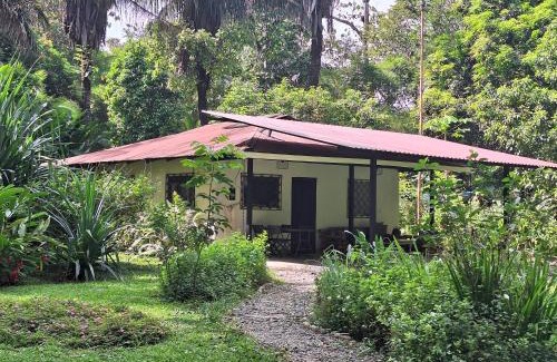 Puerto Jimenez House | Four Monkeys Eco Lodge Jungle & Beach - The House