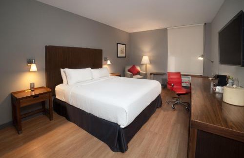 Saltillo Hotel | Four Points by Sheraton Saltillo