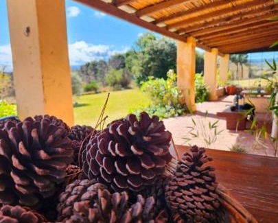 Villa Giardino Bed & Breakfast | Frambuesas Suites