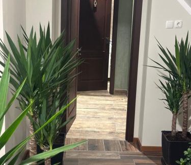 Buzau Hotel | Freedom&Relax