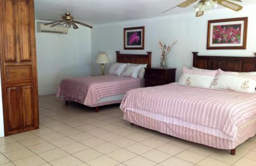 Isla Aguada Hotel | Freedom Shores "La Gringa" Hotel - Universally Designed