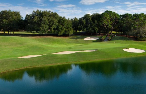 Citrus Hills Apartment | Freshly Renovated Experience Our Hidden Gem