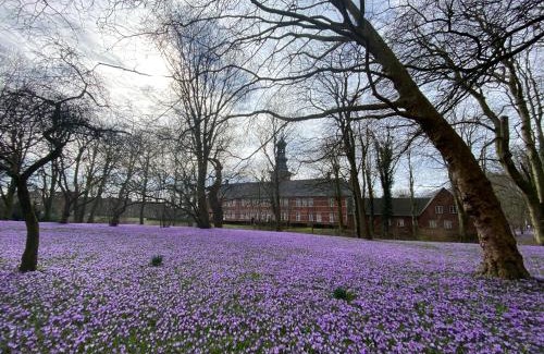 Dagebuell Apartment | Friesenhof Küper