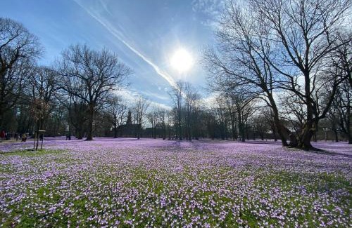Dagebuell Apartment | Friesenhof Küper