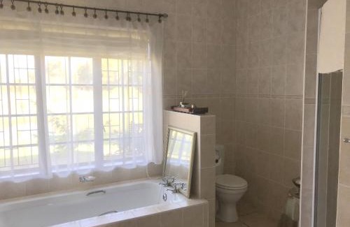 Die Barakke House | Frog Song Suite