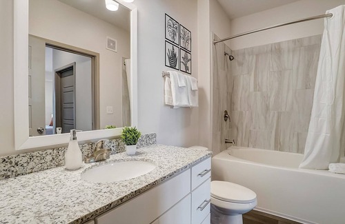 Forest Park Apartment | Frontdesk | 1 BR Apt near Vulcan Park