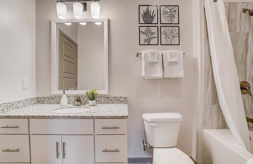 Forest Park Apartment | Frontdesk | 1 BR Apt near Botanical Gardens