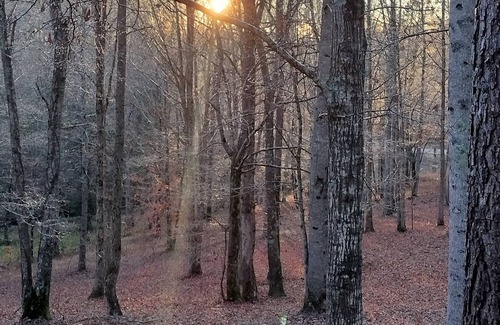 Ashland RV Rental | Full Hookup RV site-Pet Friendly! Big Foot Trail at Hairy Hiker Woods