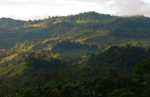 San Isidro de El General Apartment | Fully Furnished Studio Apartments