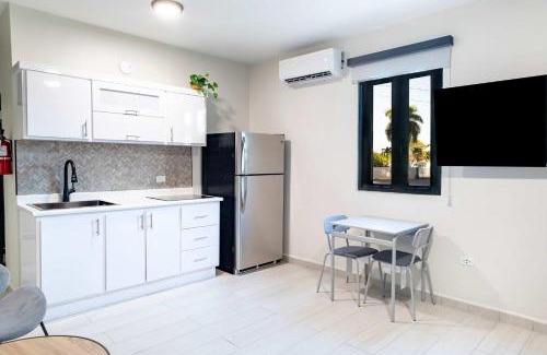 Dorado Pueblo Apartment | Fully Renovated Beachside with Oceanview 1 Bedroom Unit 5