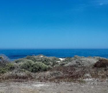 Pearly Beach Ski Chalet | Fynbos and Coffee