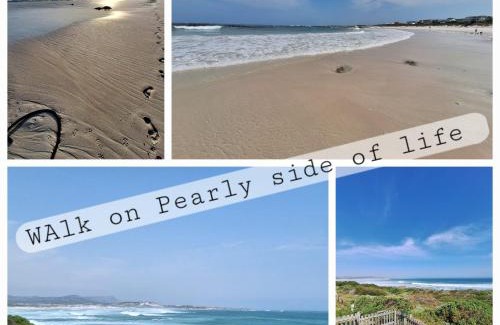 Pearly Beach Ski Chalet | Fynbos and Coffee