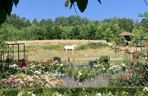 Altengronau House | Gästehaus Altes Forstamt Sinntal