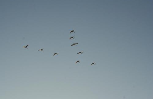 Toenning House | Gästehaus Gudrun