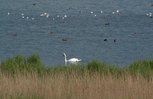 Toenning House | Gästehaus Gudrun