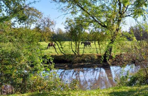La Ferte-en-Ouche House | Gîte confortable au cœur d'un élevage, animaux admis, Wifi - FR-1-497-239