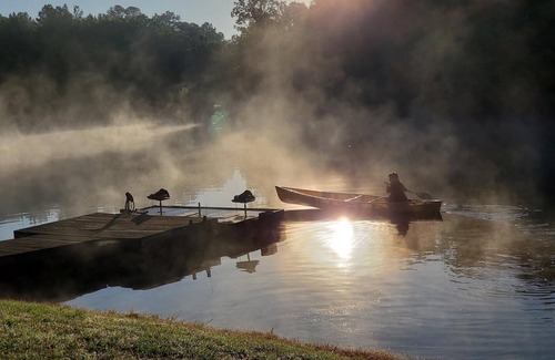 Talladega Cabin | G-6 Glamp in Bohamia - 268 acre forest retreat