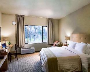 Cascade Hotel | Gaia Hotel & Spa Redding, an Ascend Collection Hotel