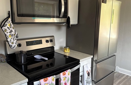 Parma House | Game On Parma with WiFi, AC and Game Room Family and Pet Friendly