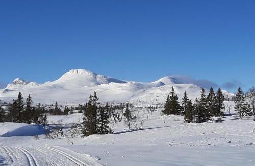Tuddal House | Gamlestugu Greivjord Fjellgard