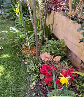 Gries - Quirein Apartment | Garden Suite