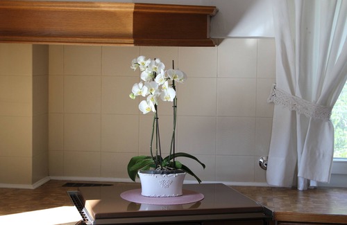 Kurtatsch an der Weinstraße Other | Gartenblick