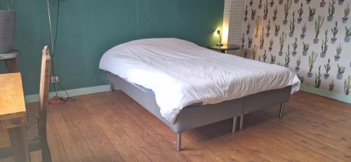 Mol House | Gastenkamers in vakantiewoning CasaCuriosa