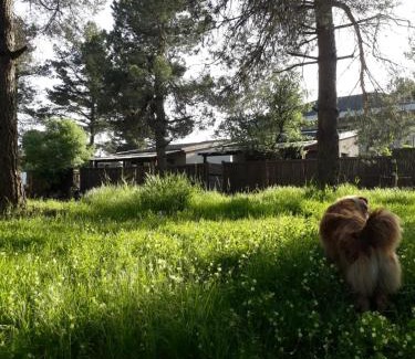 El-Rum Bed & Breakfast | Gate Away B&B Units - המקום באל רום