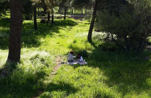 El-Rum Bed & Breakfast | Gate Away B&B Units - המקום באל רום