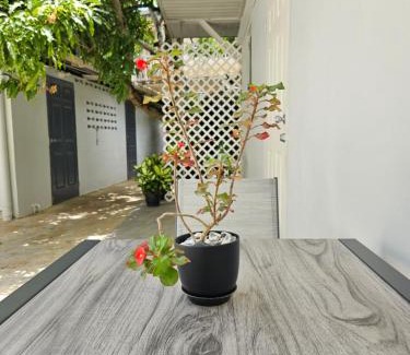 San Juan Apartment | Gated Riverside Studio Apartment