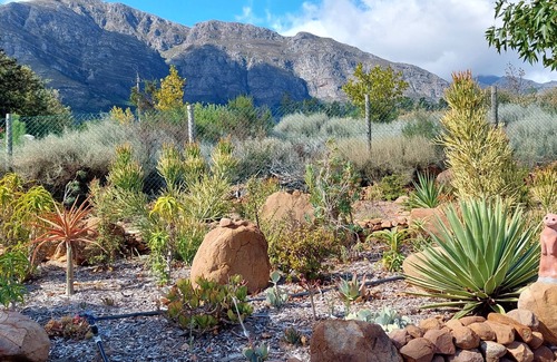 Franschhoek Cottage | Gecko Pet-friendly cottage on Fynbos Garden Retreat