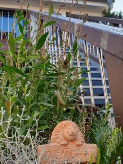 Gosen Apartment | Gemütliche Idylle am Seddinsee