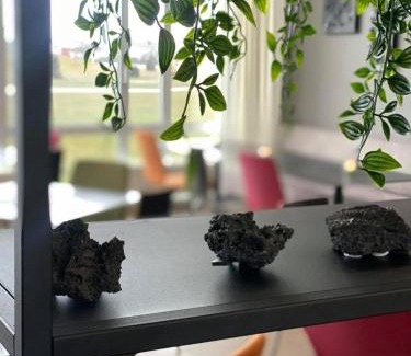 Grindavik Hotel | Geo Hotel