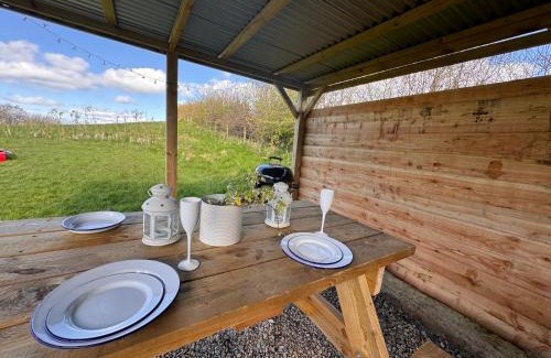 Llanidloes Other | Geodesic Dome Glamping