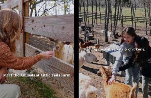 Bryant House | Get InTents indoor pool hot tub & more